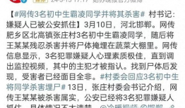 邯郸事件大爆料最新消息,揭秘背后惊人真相