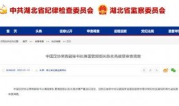 华信煤气最新爆料信息查询,揭秘行业内幕，深度剖析市场动态